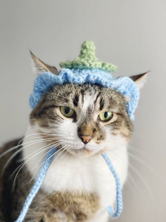 Hats for Cats *Preorder*